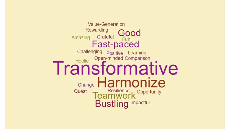 Storyboard frame: a word cloud led by Transformative, Harmonize and Fast-paced