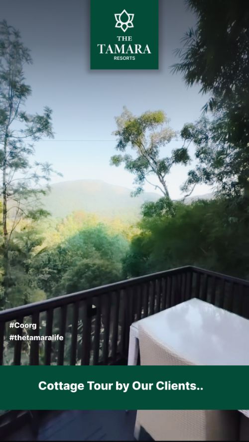 Vertical ad: a cottage balcony view over forested hills, Cottage tour by our clients