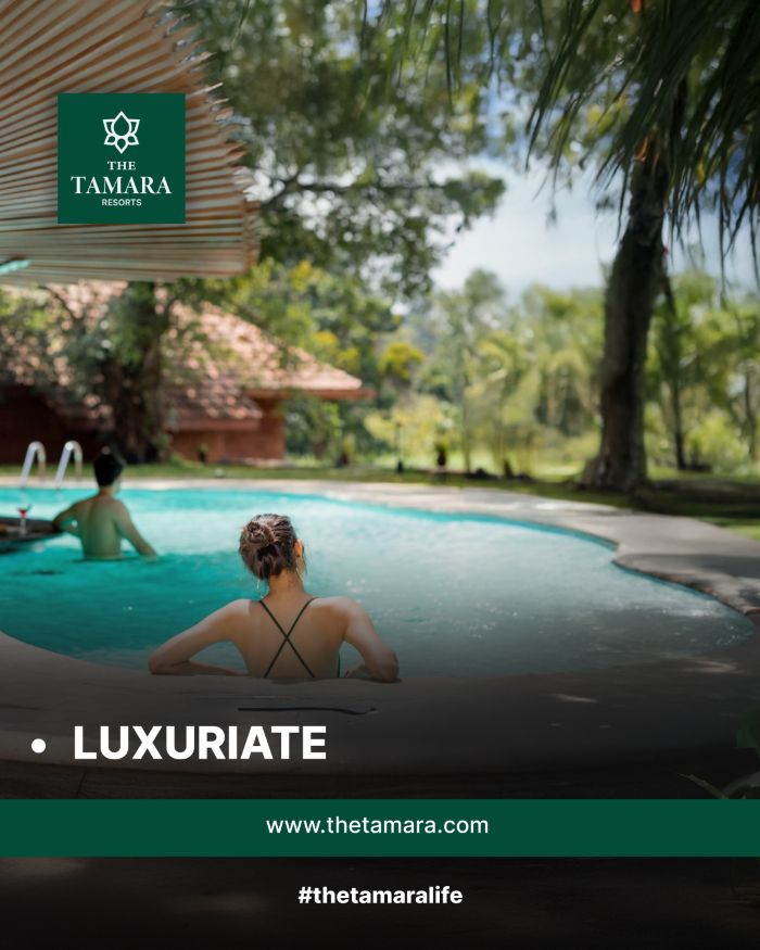 Feed post: guests in a pool among palms with the word Luxuriate