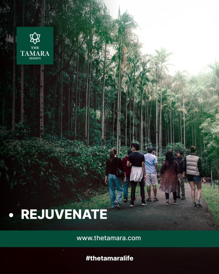 The Tamara social post: a group walking through tall areca palms with the word Rejuvenate