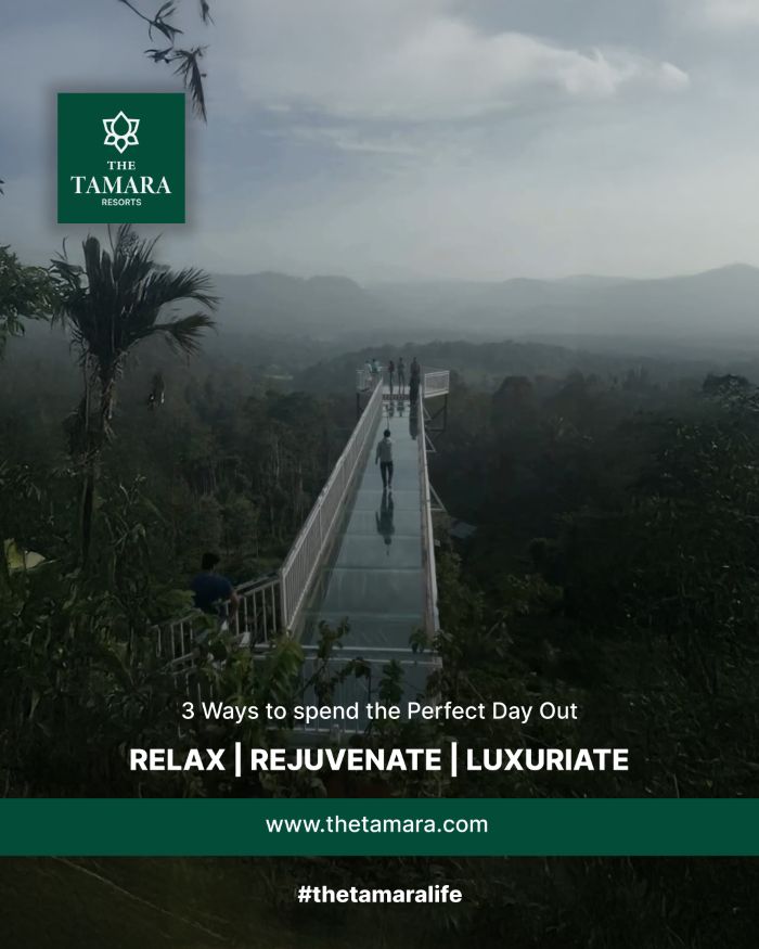 Summary post: a canopy walkway over misty forest with the line 3 ways to spend the perfect day out, Relax, Rejuvenate, Luxuriate